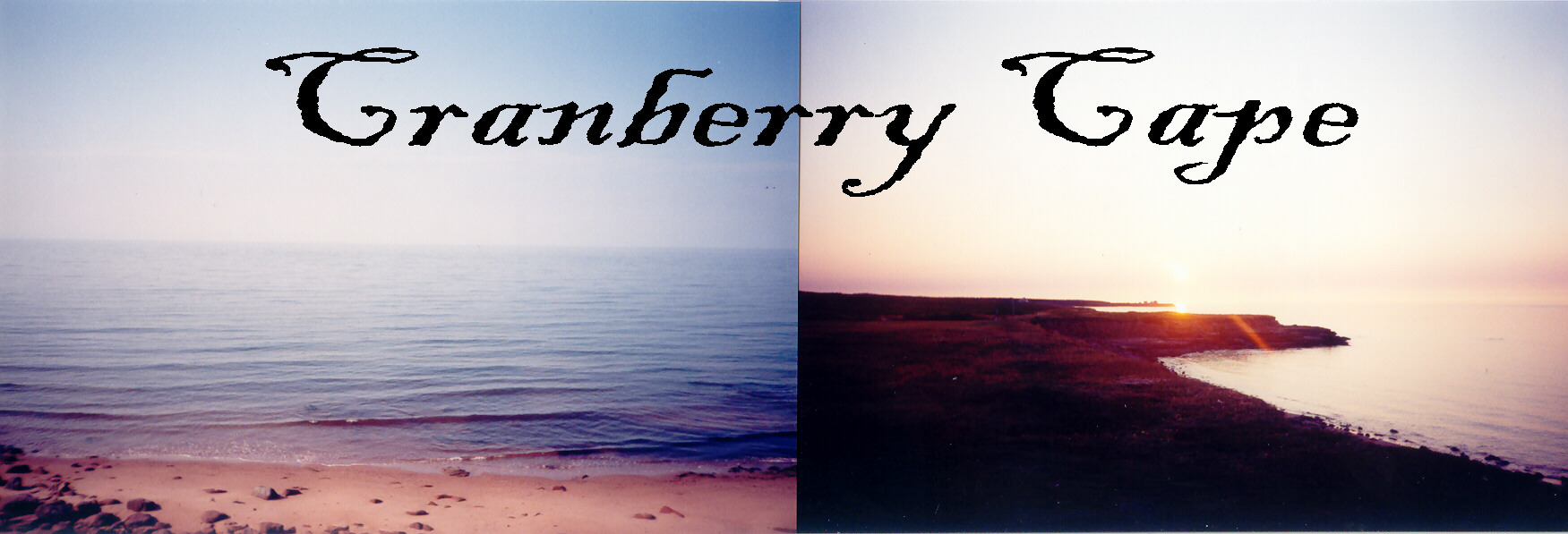 Cranberry Cape header